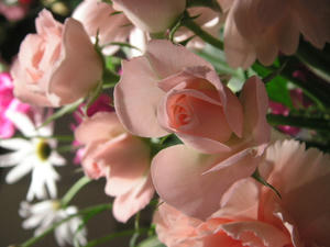 PICT0097.JPG