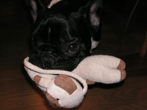 PICT0089.JPG