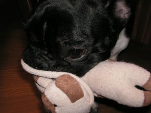 PICT0090.JPG