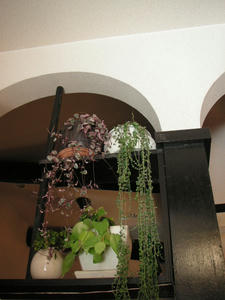 PICT0124.JPG