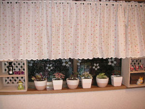PICT0131.JPG