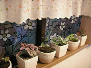 PICT0133.JPG