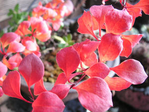 PICT0141.JPG
