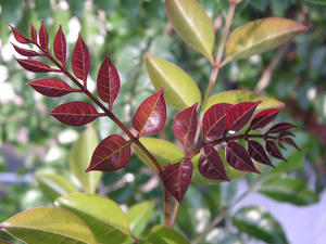 PICT0148.JPG