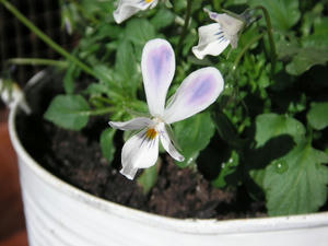PICT0169.JPG
