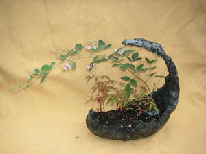 PICT0185.JPG