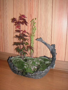 PICT0214.JPG