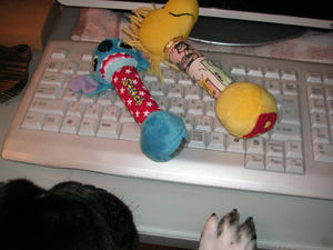 PICT0210.JPG