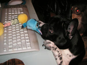 PICT0211.JPG