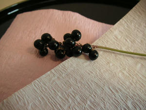 PICT0248.JPG