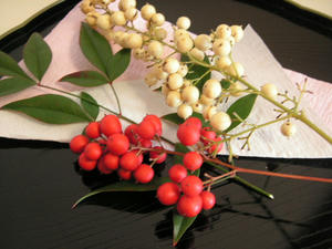 PICT0252.JPG