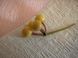 PICT0257.JPG