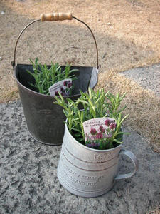 PICT0276.JPG