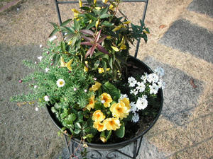 PICT0269.JPG
