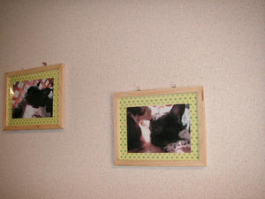 PICT0326.JPG