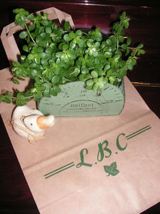 PICT0329.JPG
