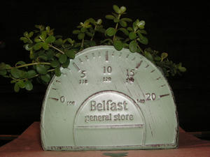 PICT0339.JPG