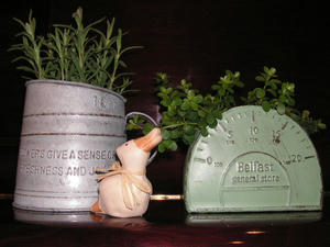 PICT0341.JPG