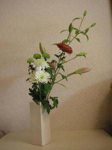 PICT0362.JPG