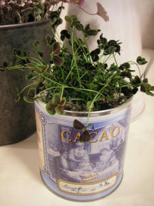 PICT0399.JPG