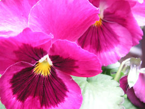 PICT0472.JPG