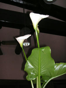 PICT0507.JPG