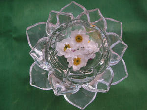 PICT0525.JPG