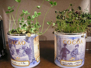 PICT0538.JPG
