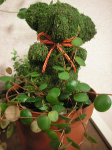 PICT0540.JPG