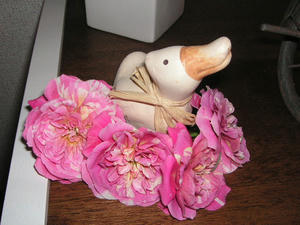 PICT0578.JPG