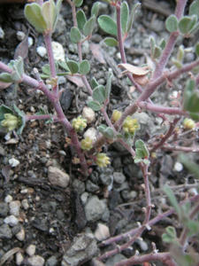 PICT0584.JPG