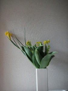 PICT0593.JPG