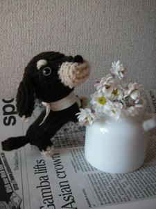 PICT0624.JPG