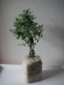 PICT0635.JPG