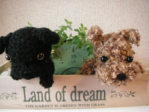 PICT0653.JPG