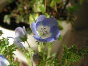 PICT0693.JPG