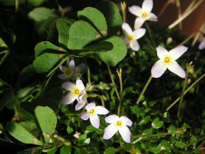 PICT0698.JPG