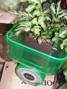 PICT0691.JPG