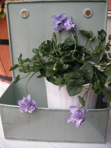 PICT0771.JPG