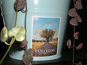 PICT0776.JPG
