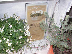 200932a.jpg
