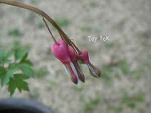 200933.jpg