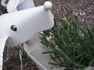 2009415c.jpg
