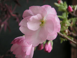 PICT1312.JPG