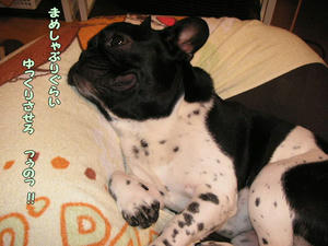 2009421f.jpg