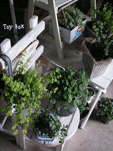 2009422.jpg