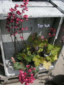 2009422a.jpg