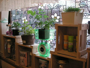PICT1524.JPG