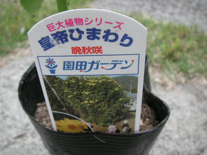 PICT1543.JPG