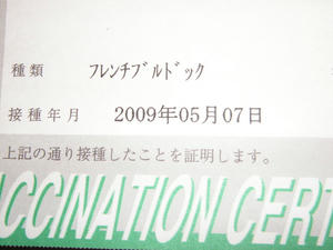 PICT1551.JPG